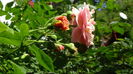 DSC00962
