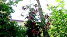 DSC01001