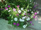 DSCN8292