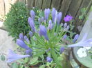 DSCN8293