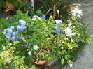 DSCN8300