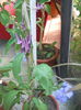 DSCN8301