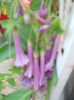 DSCN8302