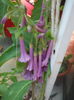 DSCN8303