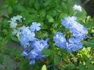 DSCN8304