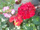 DSCN8306