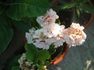 DSCN8307