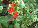 DSCN8309