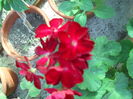 DSCN8311