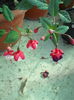DSCN8325