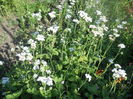 DSCN8327