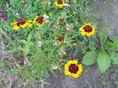 DSCN8331