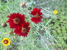 DSCN8332