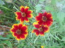 DSCN8333