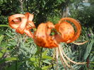 DSCN8337