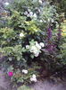 DSC03138