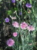 DSCN8339