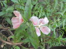 DSCN8340