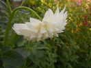 DSCN8342