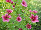 DSCN8349