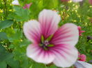 DSCN8350