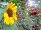 DSCN8359