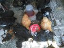IMG-20150809-WA0057