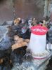 IMG-20150809-WA0078