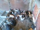 IMG-20150809-WA0096