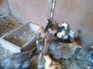 IMG-20150809-WA0102