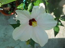 DSCN8363