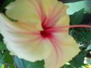 DSCN8368