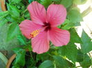 DSCN8373