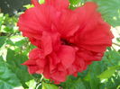 DSCN8377