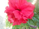 DSCN8392