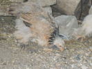 DSCN0794