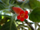 DSC03540