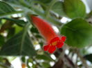 DSC03537