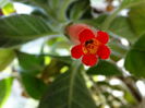 DSC03536