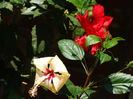 DSC03426