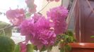 20150809_194645