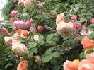 Soapte de parfum (620)