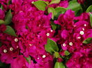 DSC03408