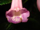 DSC02757