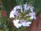 20150808_113942