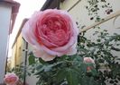 6 aug, Abraham DArby