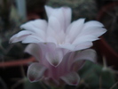 DSC02426