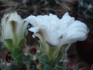 DSC02428