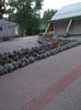 Picture 7107