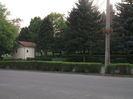 Picture 7126
